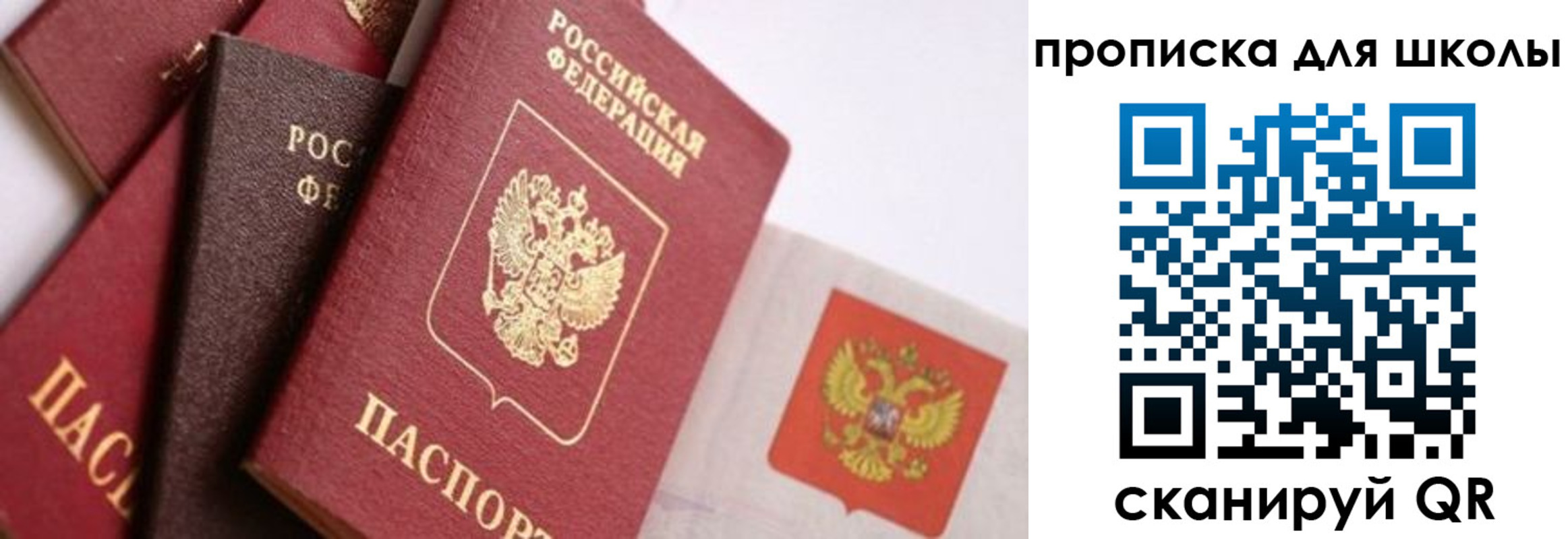 прописка поиск в Димитровграде