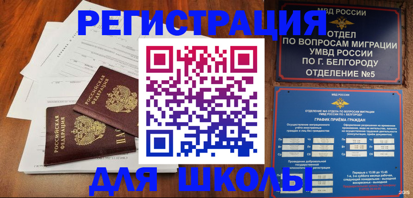 прописка поиск в Димитровграде